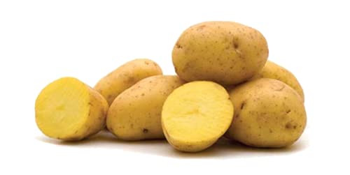 Patata nueva variedad agria origen EspaÃ±a especial freÃ­r 100% Caja de 10 kg